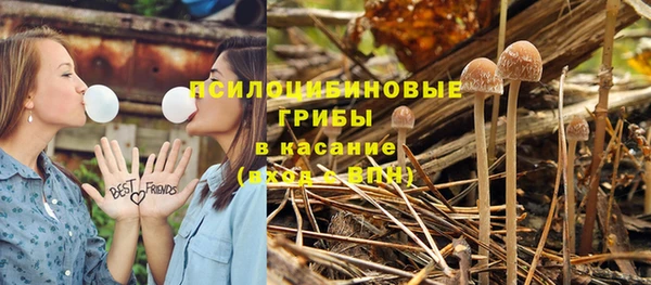 прущая мука Алзамай