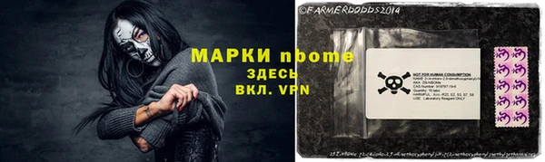 бошки Алексин