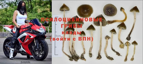 прущая мука Алзамай