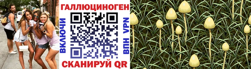 Галлюциногенные грибы Psilocybe  Чаплыгин 