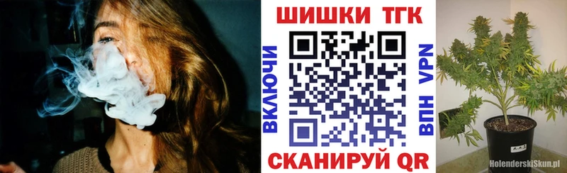 Шишки марихуана OG Kush  магазин продажи наркотиков  Чаплыгин 